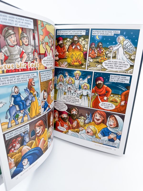 Bok Skatter fra Bibelen