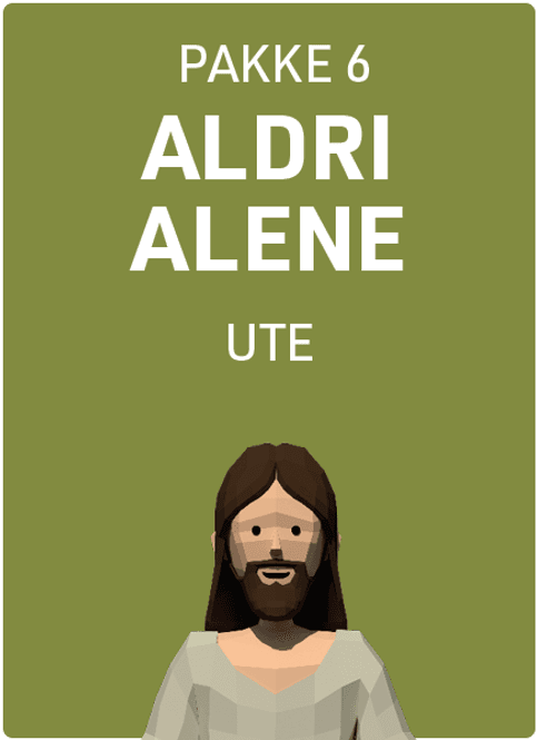 Hovedbilde Aldri Alene pakke 6